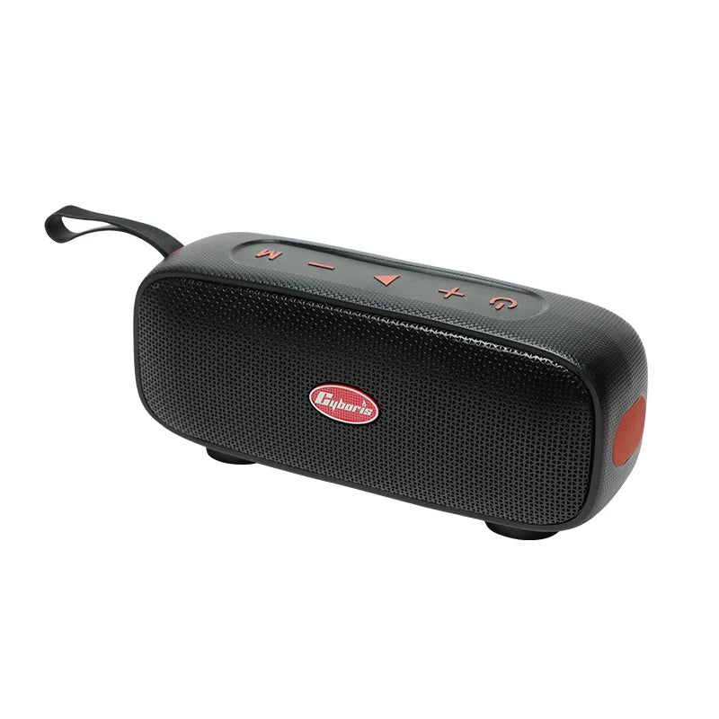 40W Wireless Portable Speaker with Subwoofer, TWS Interconnected Playback, Shockproof and Drop-resistant, Outdoor Indoor Use