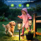 Solar Powered Pathway Lights 4/8 Pack IP65 Waterproof Auto On Off Outdoor Landscape Lighting Decorative Solar Garden Lamps for Patio Lawn Walkway Driveway Yard