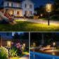 Solar Powered Pathway Lights 4/8 Pack IP65 Waterproof Auto On Off Outdoor Landscape Lighting Decorative Solar Garden Lamps for Patio Lawn Walkway Driveway Yard