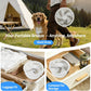 Remote control folding fan home bedroom outdoor camping fan silent LED light shaking left and right 10 inch desktop vertical fan